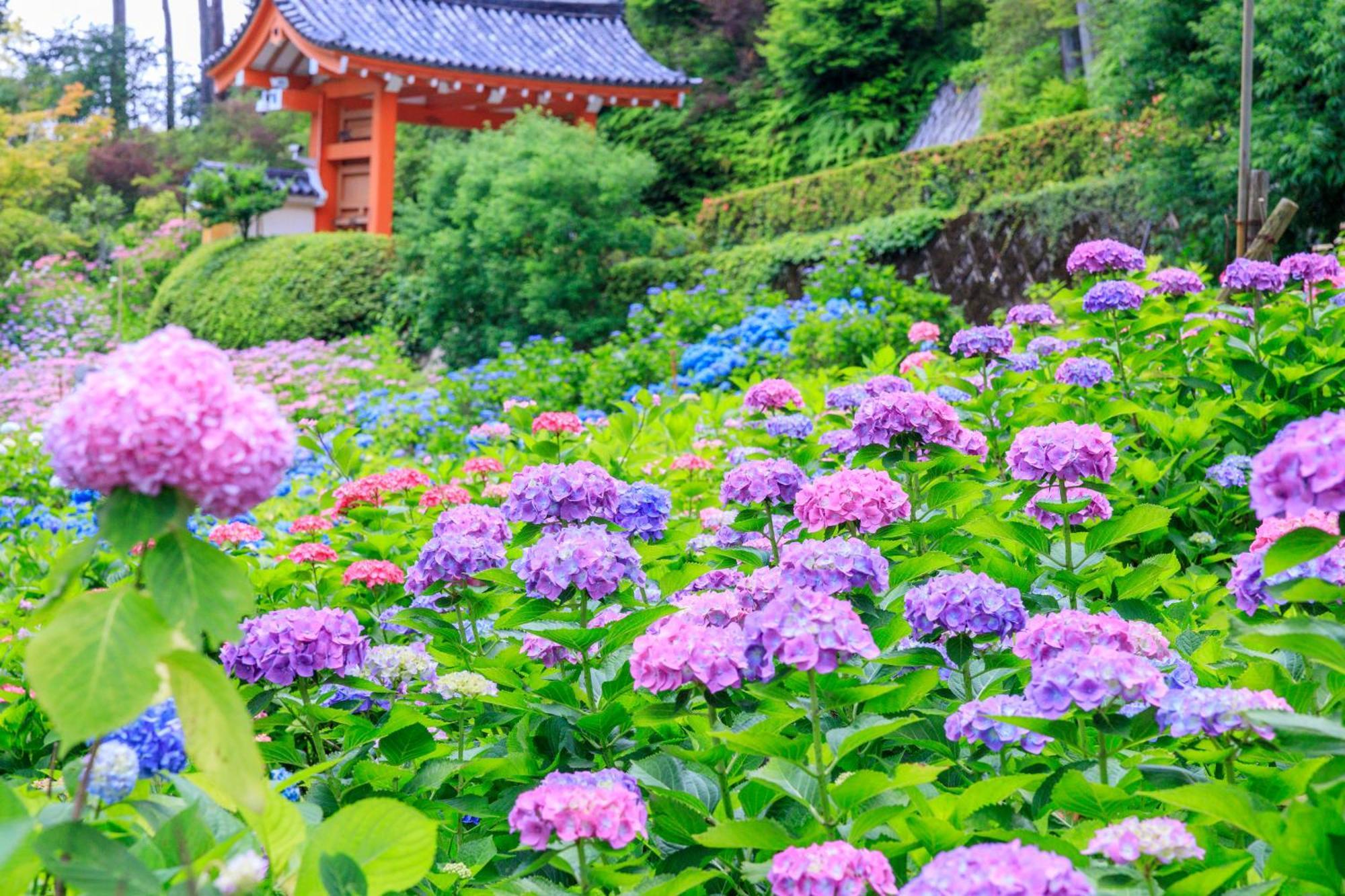 Mimaru Suites Kyoto Shijo Dış mekan fotoğraf